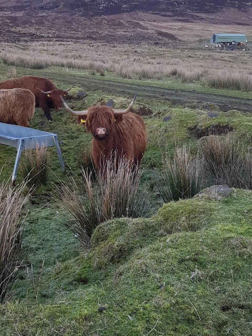 Trotternish B&B Kingsburgh Extérieur photo